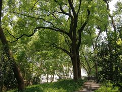 -徐家汇源景区-衡山公园