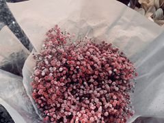 -循礼门鲜花花市(武汉循礼门店)