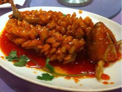 iphone_upload_pic-普天和酒楼·新津菜·烤鸭(天津之眼店)