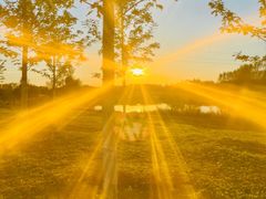 -蒲河岛湿地公园