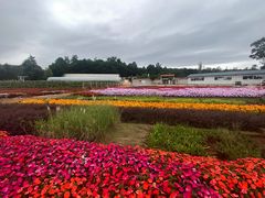 -昆明春城湖畔度假村