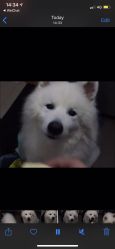 -匿名者纹身学院派·刺青