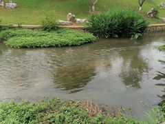 -羊山湖公园