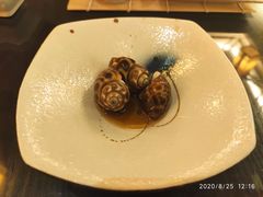 冰浸花螺-科尔海悦酒店樱之河日本料理(清河东路店)