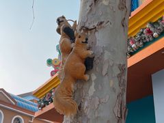 -青岛方特梦幻王国