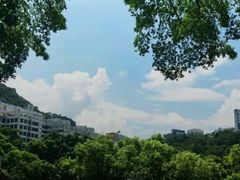 -大埔公路-马料水段香港中文大学(公交站)