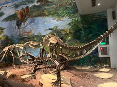 -自贡恐龙博物馆