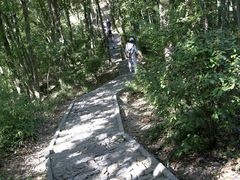 -上海佘山国家森林公园天马山园