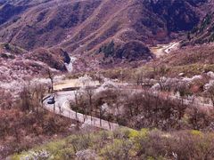 景点-八达岭长城