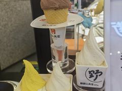 -野人先生Gelato(上海长宁龙之梦店)