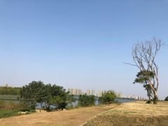 -盘龙城国家考古遗址公园