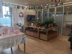 -dōTERRA多特瑞精油生活馆