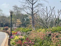 -东莞植物园