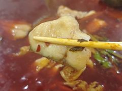 -重庆特色冷锅鱼(武大店)