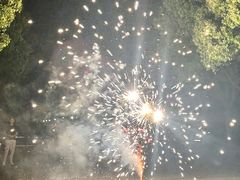 -上海佘山国家森林公园天马山园