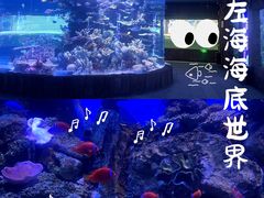-左海海底世界