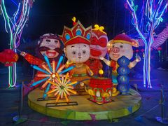 -南宫五洲植物乐园