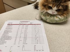-瑞派康怡24h宠物医院·犬猫医疗中心·微创绝育(瑞景分院)