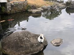 -水前寺成趣园