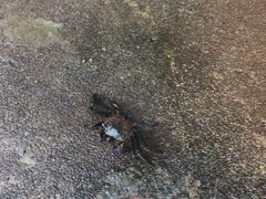 -东寨港红树林旅游区