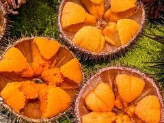 -常鲜楼常来尝鲜海胆馆(星海店)
