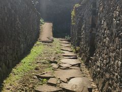 -许家山