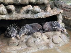 -海南热带野生动植物园