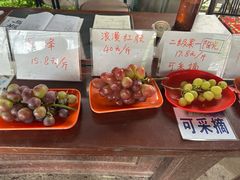 -马陆小张葡萄园农家乐