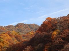 -光雾山旅游景区