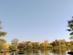 -金塔沙漠胡杨林景区
