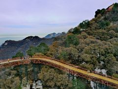 -少华山国家森林公园