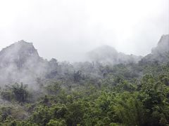 -长寿村