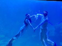 -左海海底世界
