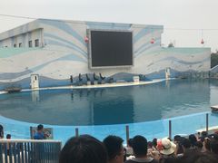 -北戴河圣蓝海洋公园