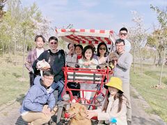 -上海海湾国家森林公园