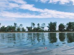 -百林岛梦里水乡