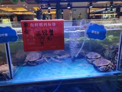-四海蒸鲜蒸汽海鲜自助(北戴河店)