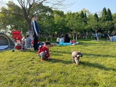 -艾溪湖湿地公园