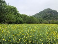 -八卦田遗址公园