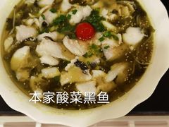 -同济大酒店(绿宝广场店)