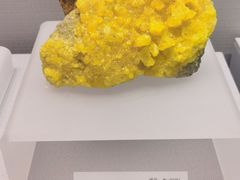 -湖南省地质博物馆