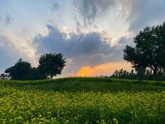 -长白岛森林公园