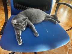 -莱姆星桌游·拼豆·团建