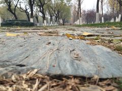 iphone_upload_pic-永定门公园