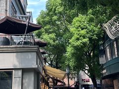 -陶陶居酒家(新天地店)