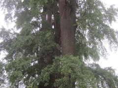 景点-崇州市街子古镇