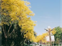 -南翠屏公园