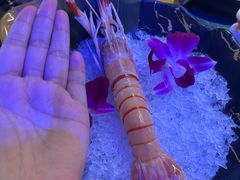 -牛New寿喜烧(曹路花园城店)