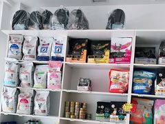 -宠福鑫康馨动物医院·骨科·眼科