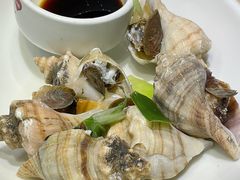 -小海丁